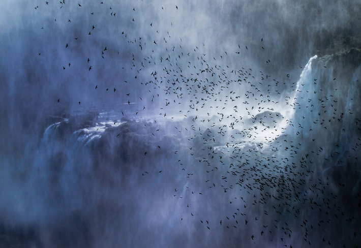 “Today we for you a collection of 15 amazing photos taken at the right moment.”