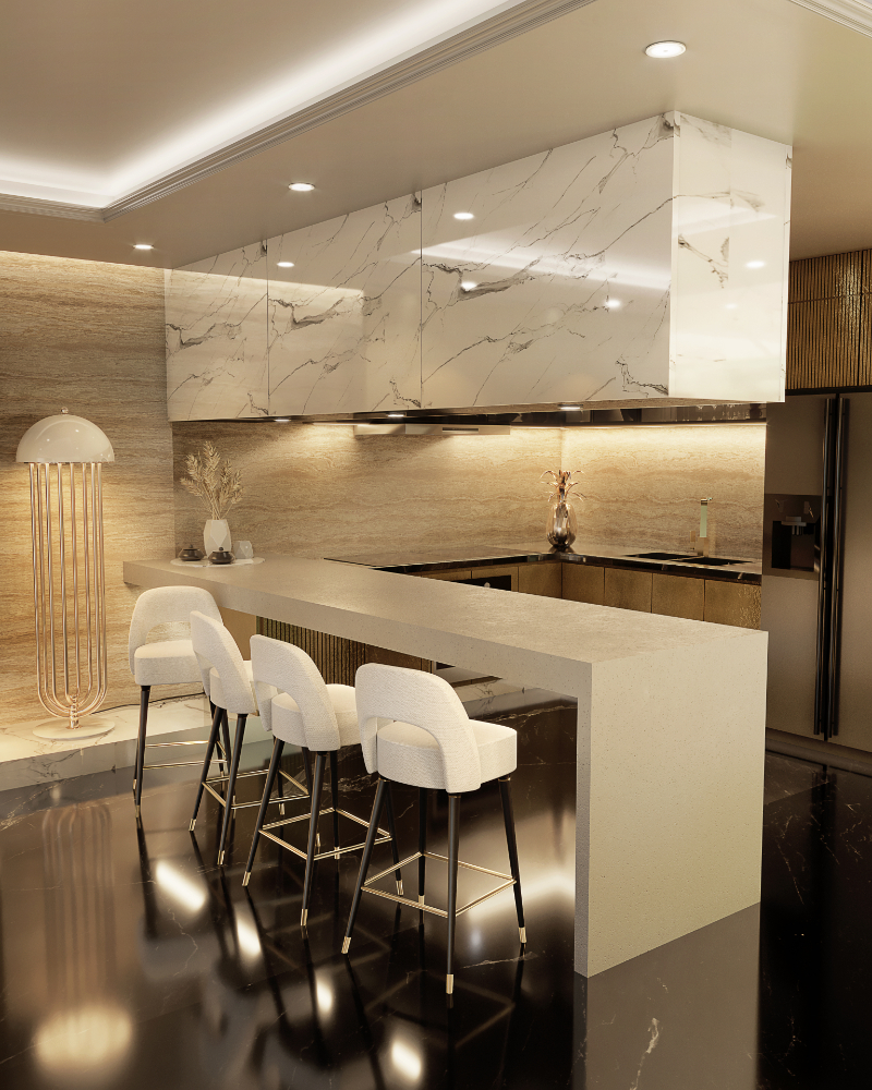 sophisticated and modern kitchen with marble details