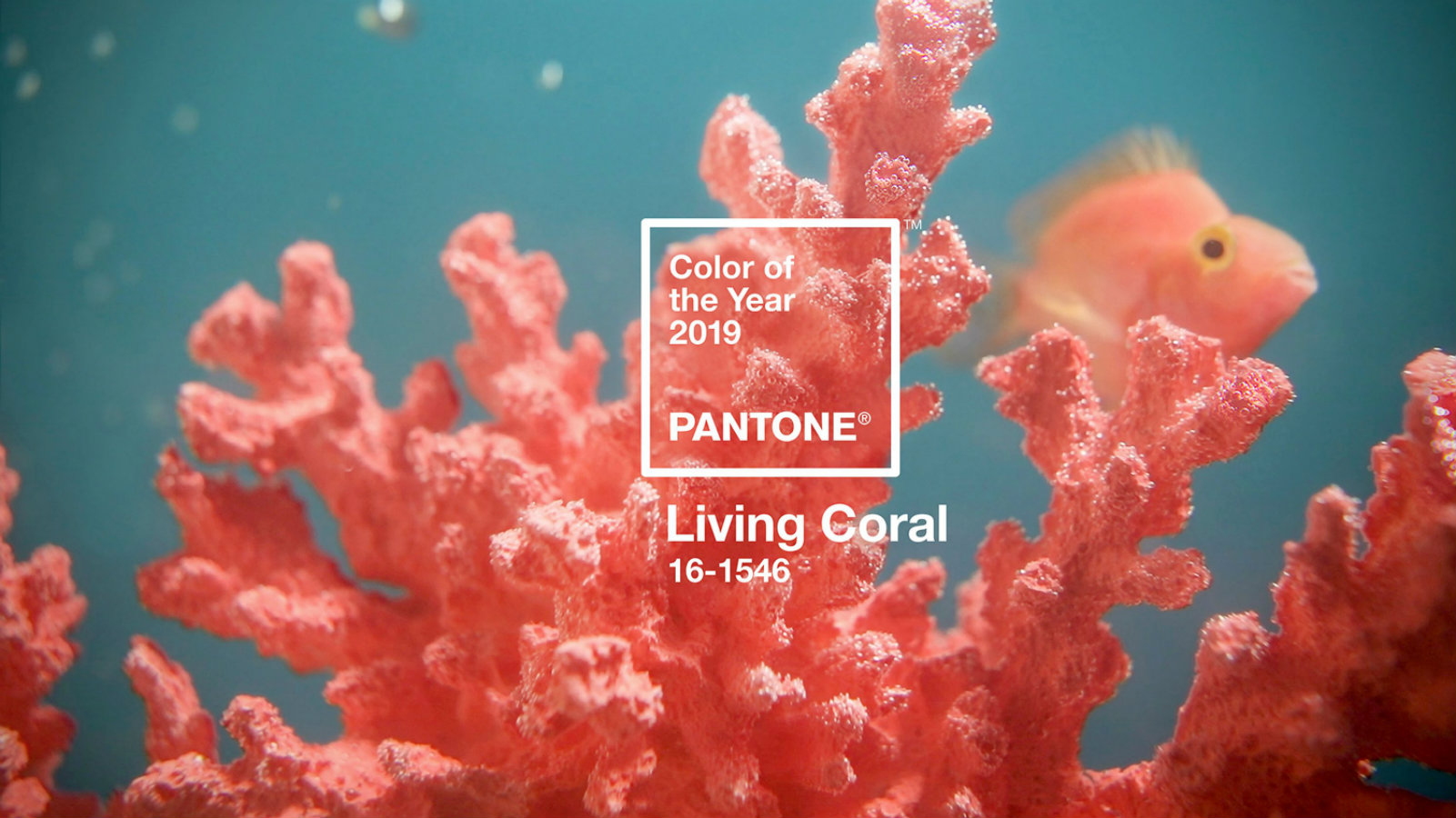 The Pantone Color of the Year 2019 Is Officially Released