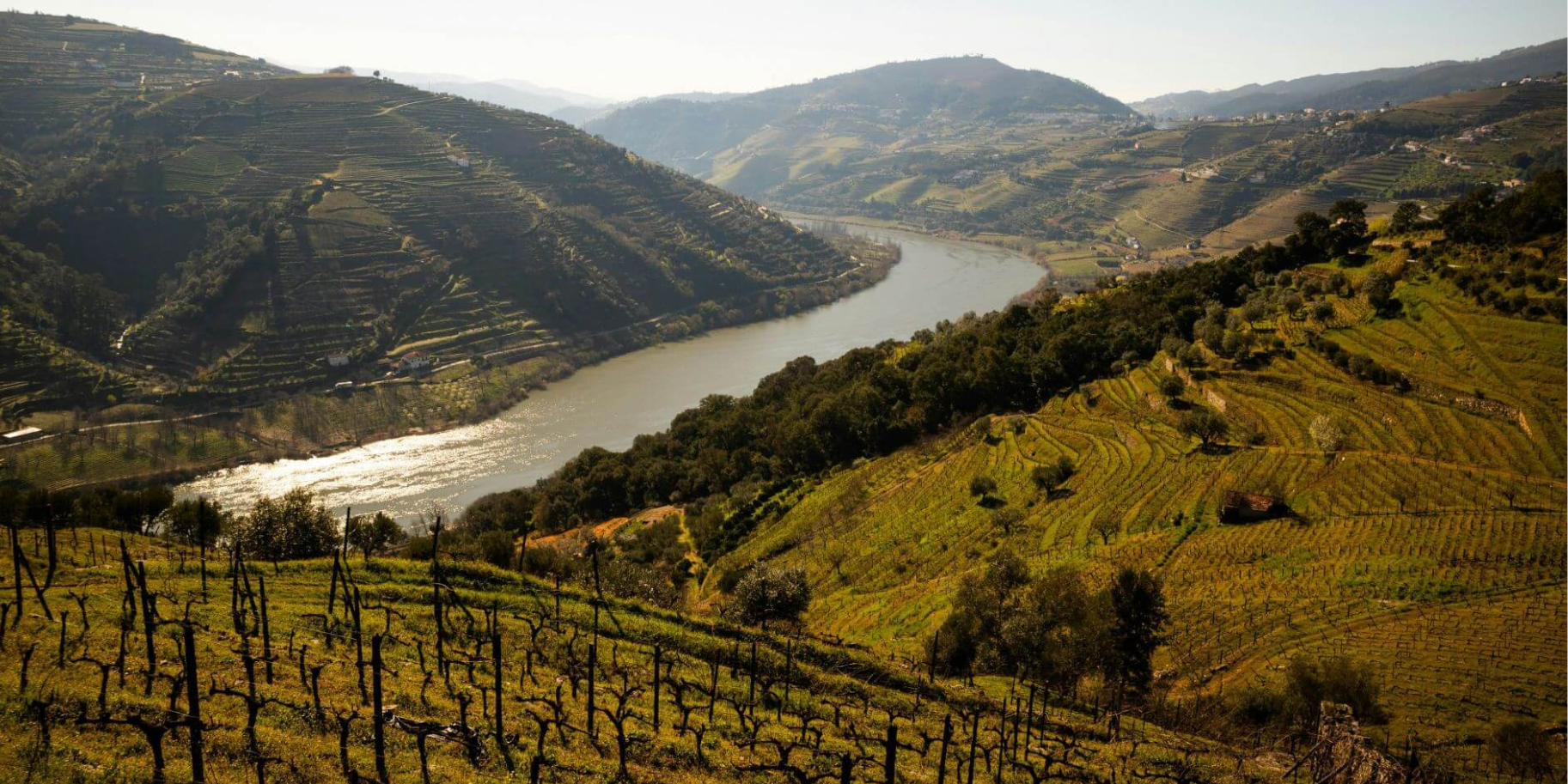 Torel Quinta da Vacaria | Where Luxury Meets Tradition in the Heart of Douro