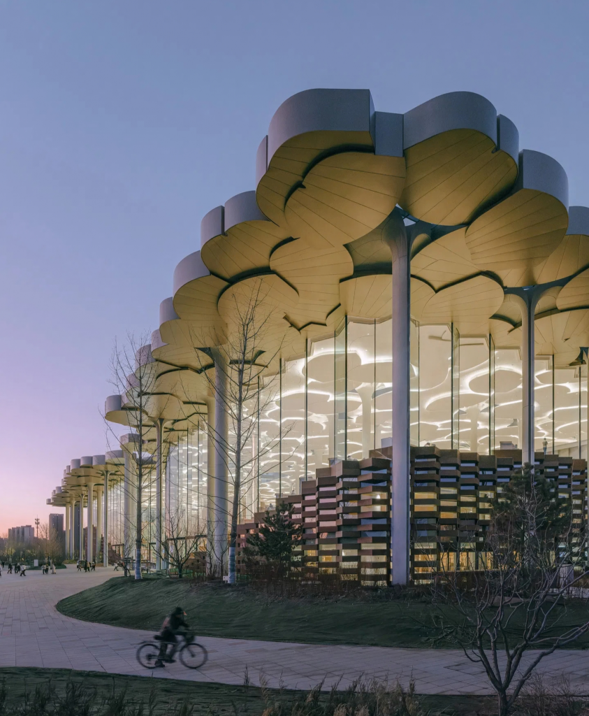 Beijing Library designed by Snøhetta featuring flowing interior architecture and luminous reading spaces in Beijing