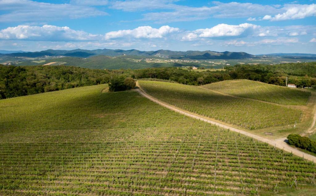 green field