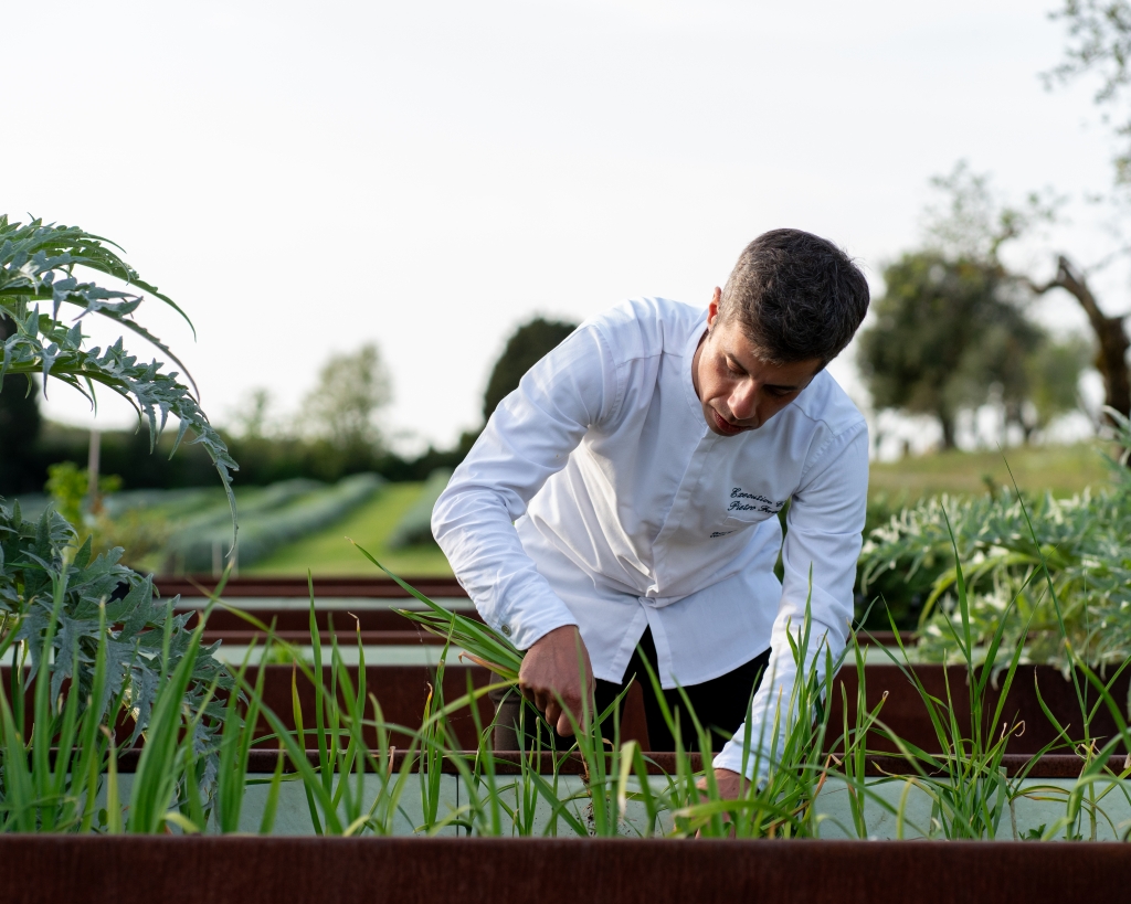 man gardening