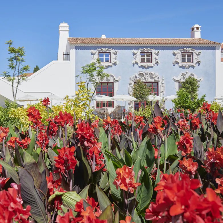 Portugal’s Bucket List Hotels — Vermelho Hotel, a richly artistic boutique hotel in Melides designed with bold colors, handcrafted details, and intimate, gallery-like interiors reflecting contemporary Portuguese creativity.