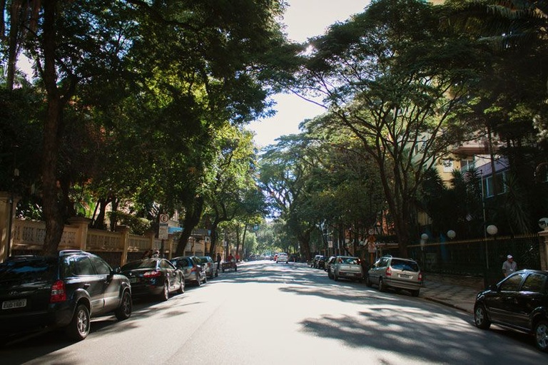 Tree-lined street with cars parked on both sides and residential buildings in the background -top places to live in São Paulo