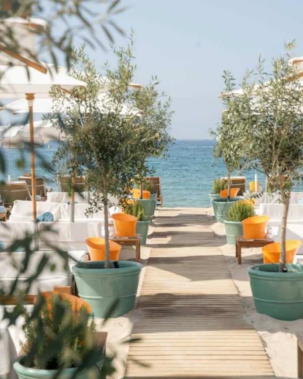 Pathway lined with potted olive trees leading down to the sea -luxury beach clubs in Europe