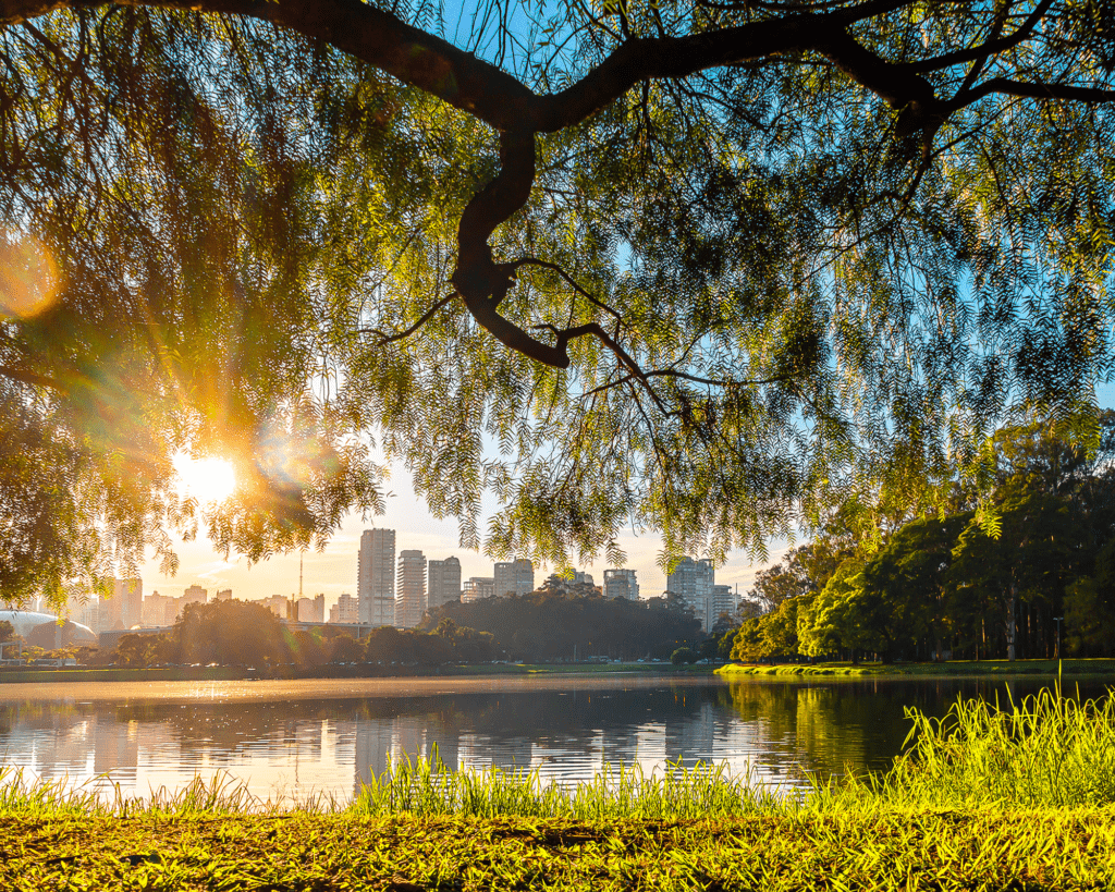 View of a lake framed by tree branches, with the skyline glowing in the background at sunrise -top places to live in São Paulo