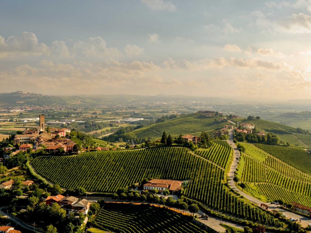 Panoramic view of lush green terraced vineyards rolling across hills under a cloudy sky at sunset, prestigious wine estates