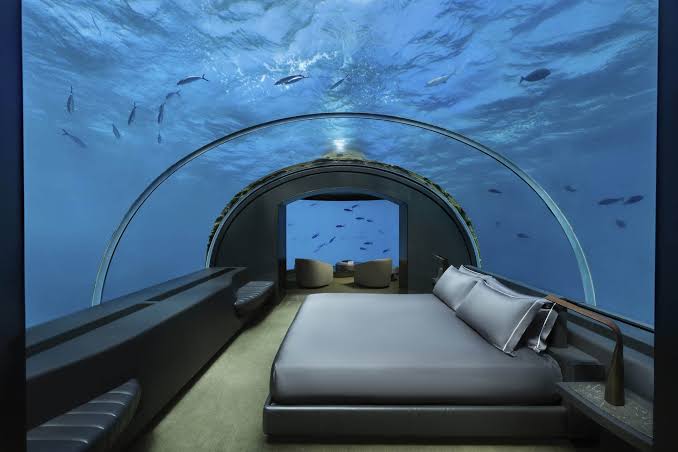 An underwater hotel bedroom featuring a curved glass dome ceiling with schools of fish swimming overhead, a dark platform bed, and blue ambient lighting, all grouped under most prestigious hotel suites