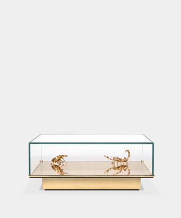 Metamorphosis White Luxury Center Table