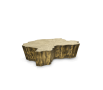 eden-patina thumbnail 3