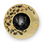 CONVEX METAMORPHOSIS