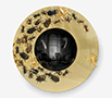 convex-metamorphosis thumbnail 1