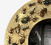 convex-metamorphosis thumbnail 5