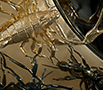 convex-metamorphosis thumbnail 6