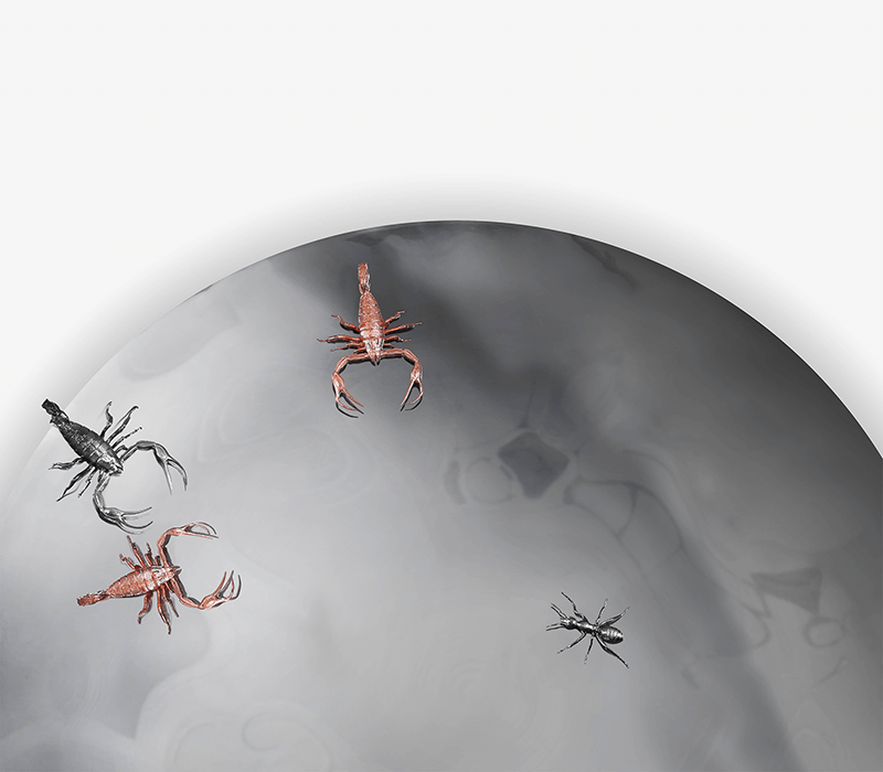 Concave Metamorphosis Mirror mobile image 3