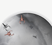 concave-metamorphosis thumbnail 3