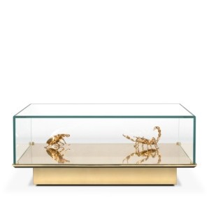 METAMORPHOSIS