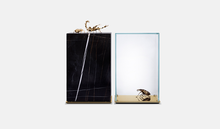 metamorphosis