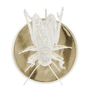 FILIGREE CRICKET