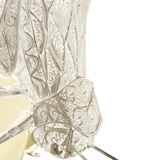 FILIGREE CRICKET