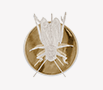 filigree-cricket thumbnail 1