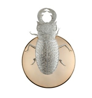 filigree lucanus