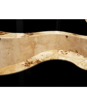 wave big poplar root