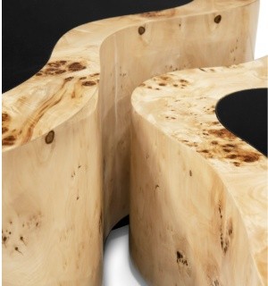 wave big poplar root