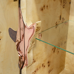 Lapiaz Rose Gold