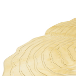 Fortuna Gold