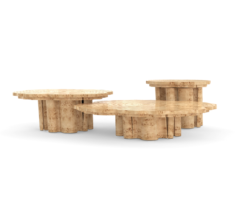 Fortuna Poplar Root Center Table mobile image 1