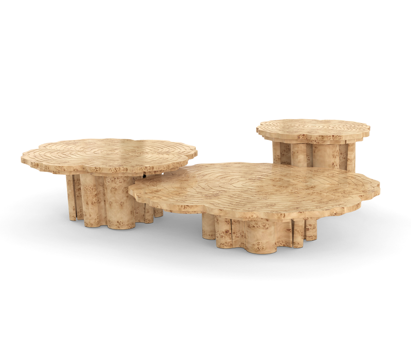Fortuna Poplar Root Center Table mobile image 2