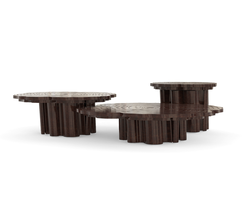 Fortuna Walnut Root Set Of 3 Center Table mobile image 1