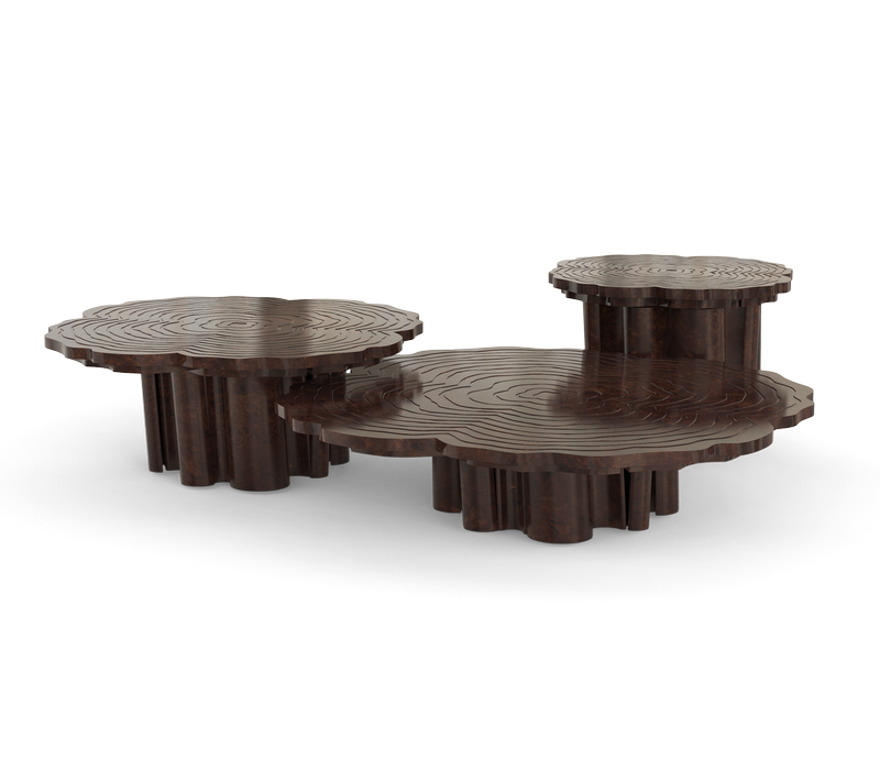 Fortuna Walnut Root Set Of 3 Center Table mobile image 2