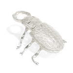 FILIGREE LUCANOS