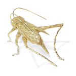 FILIGREE CRICKET GOLD
