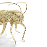 FILIGREE CRICKET GOLD