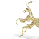 FILIGREE PRAYING MANTIS GOLD
