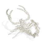 FILIGREE SCORPION