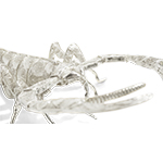 FILIGREE SCORPION