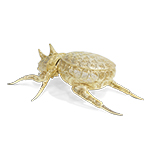 FILIGREE RHINOCEROS BEETLE GOLD