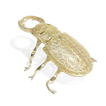 FILIGREE LUCANOS GOLD