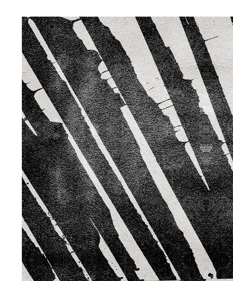 palm