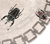 golden-bugs thumbnail 2