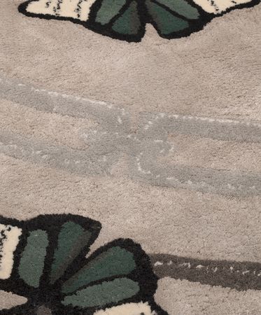 metamorphosis