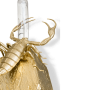 cubic-metamorphosis-small-gold thumbnail 7