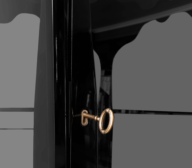 Palatino Display Case mobile image 6