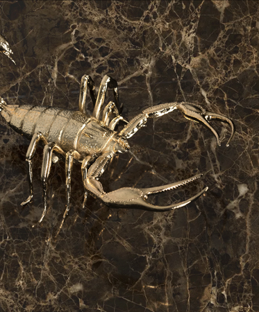 metamorphosis emperador