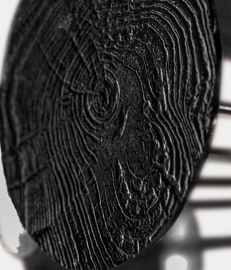 newton eliptic black